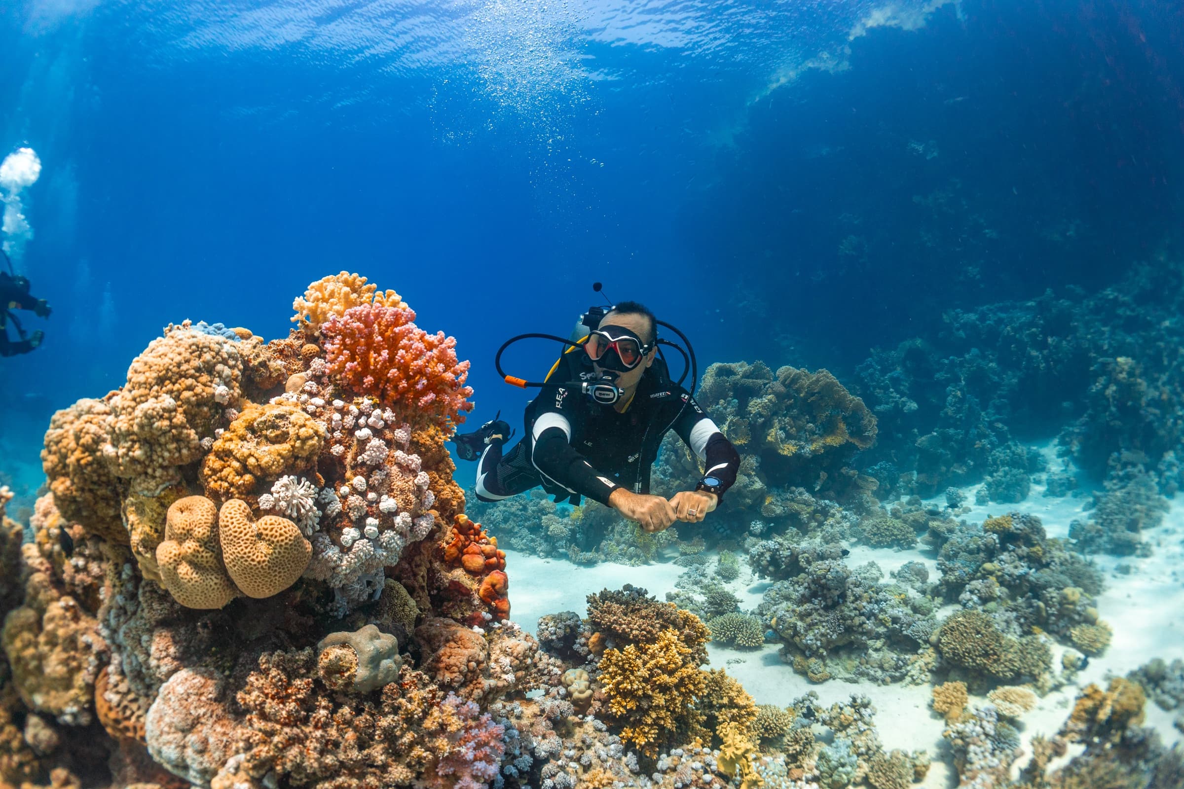 Full Day Scuba Diving Trip