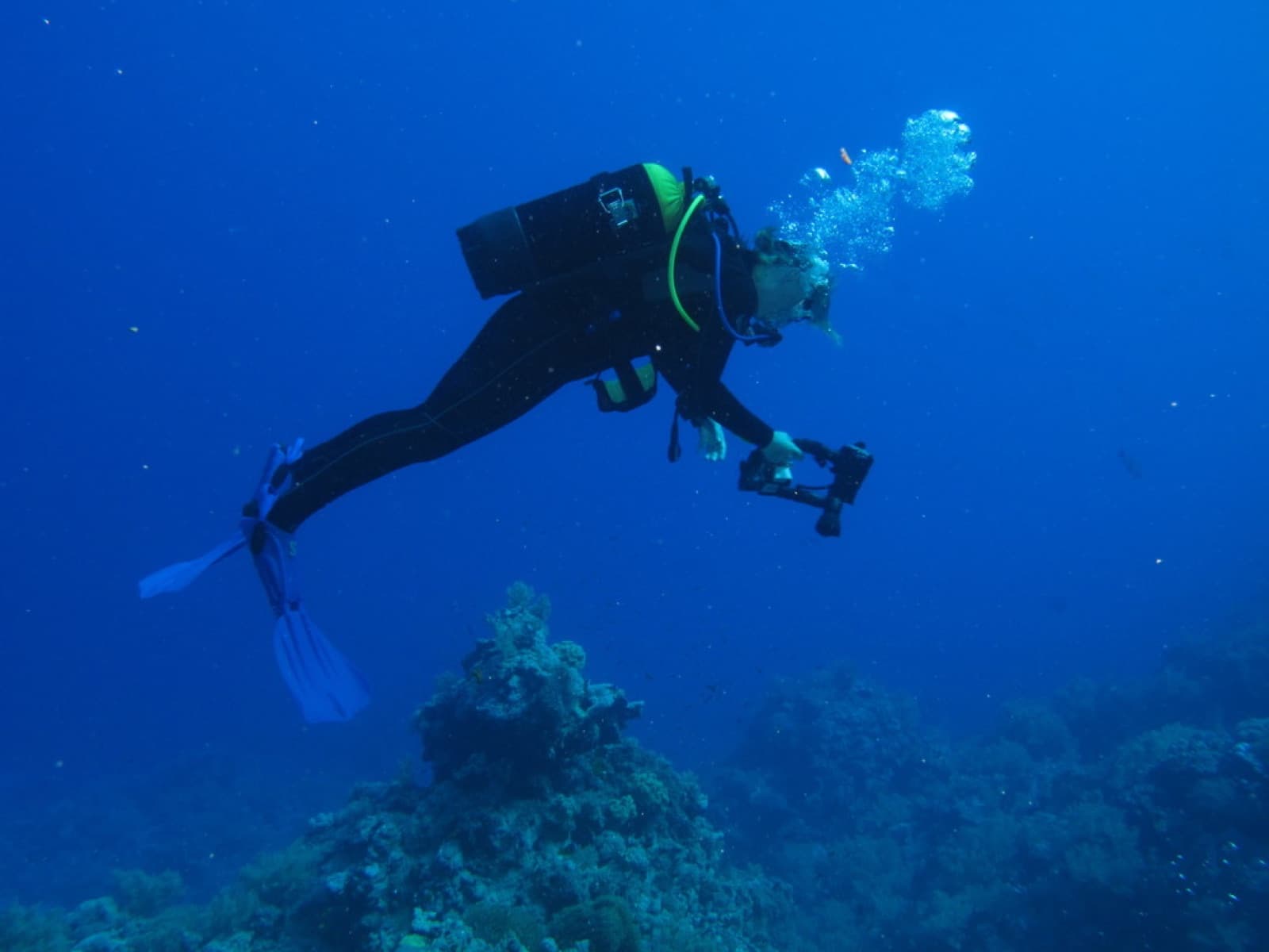 Professional Underwater Photographer